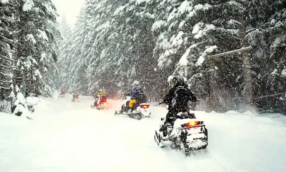 Vi ser tre snöskotrar som kör längs en snöklädd skogsväg.