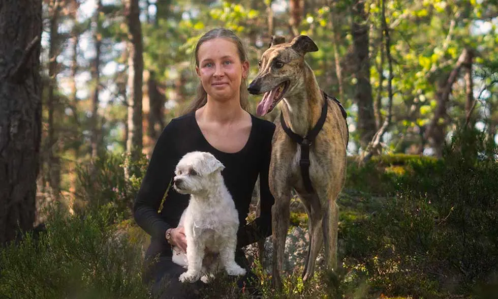 Kvinna mellan vit terrier och vinthund i skog