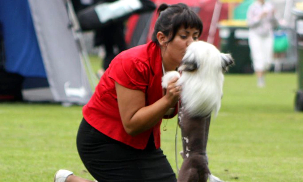 En kvinna i en röd tröja böjer sig framåt och ger en vit och svart hund en puss på nosen under en hundutställning utomhus