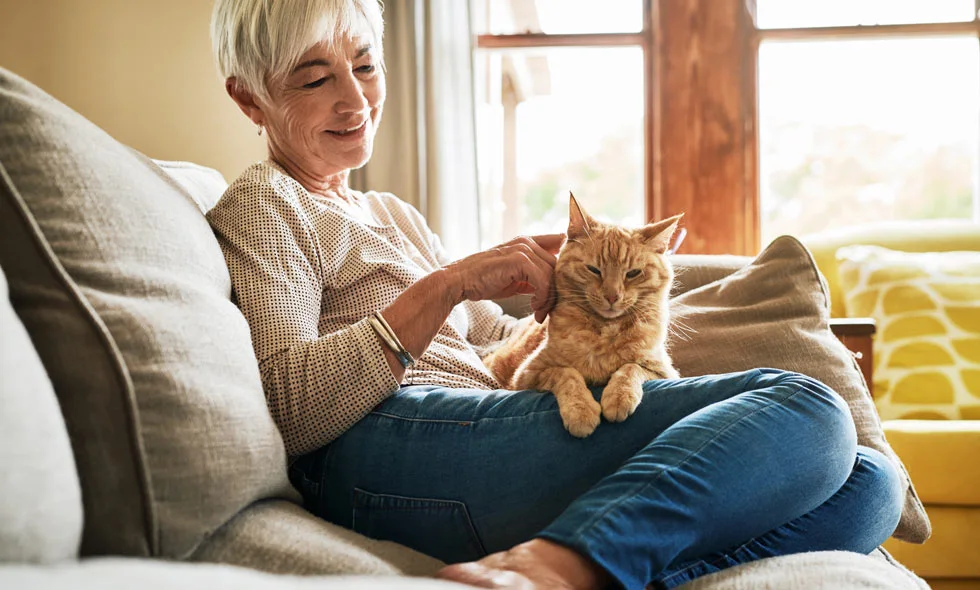 Äldre kvinna klappar en röd katt på soffan