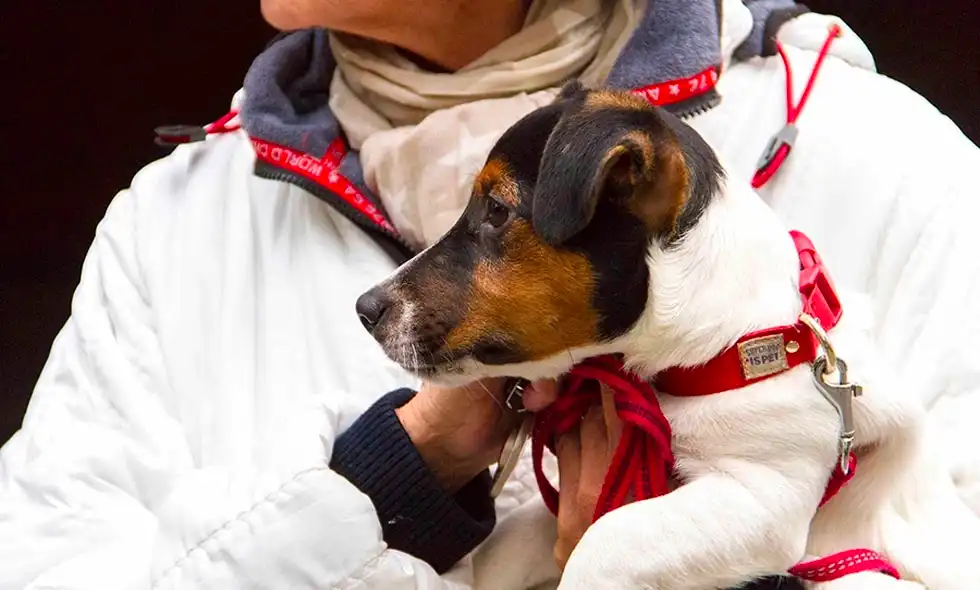 Kvinna håller hund i famnen