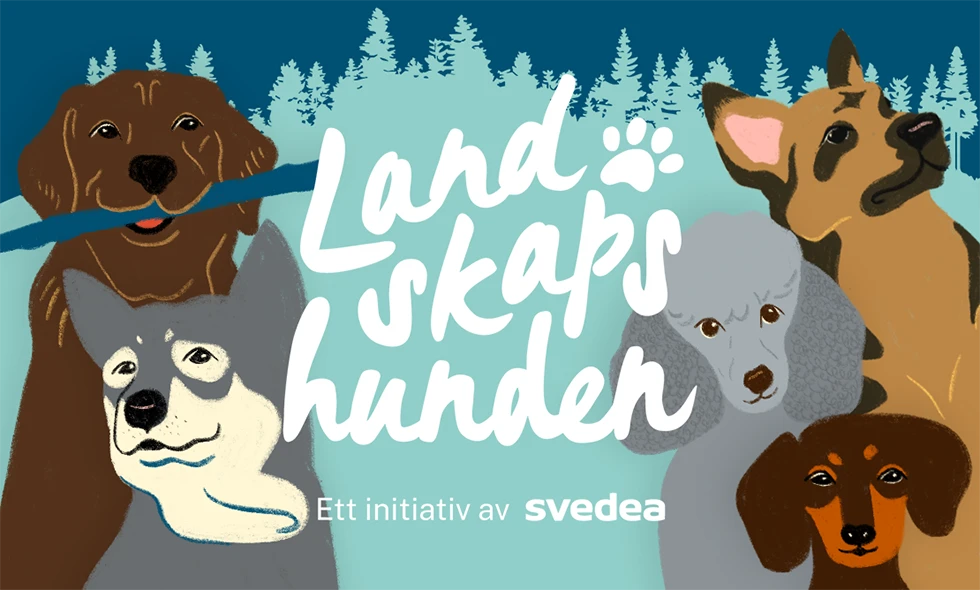 Illustration med sex olika hundraser mot blå bakgrund med texten 'Landskapshunden – ett initiativ av Svedea'.