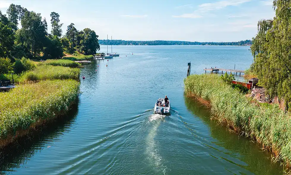 Båt som åker genom en tight passage med vass på sidorna.