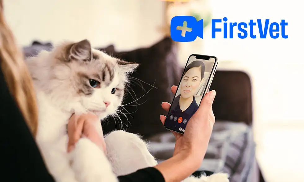 Firstvet - träffa veterinär online