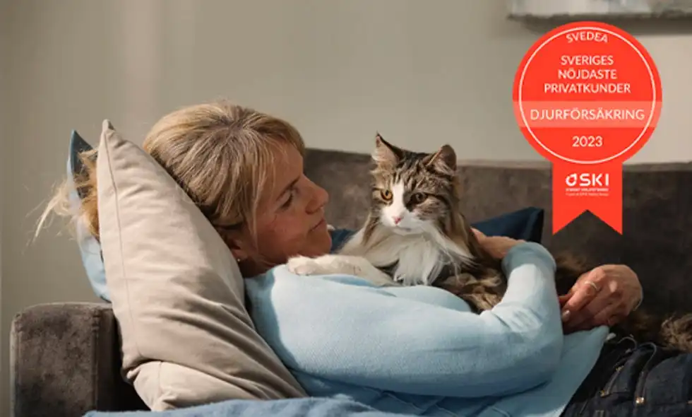 En kvinna ligger i en soffa och kelar med en katt