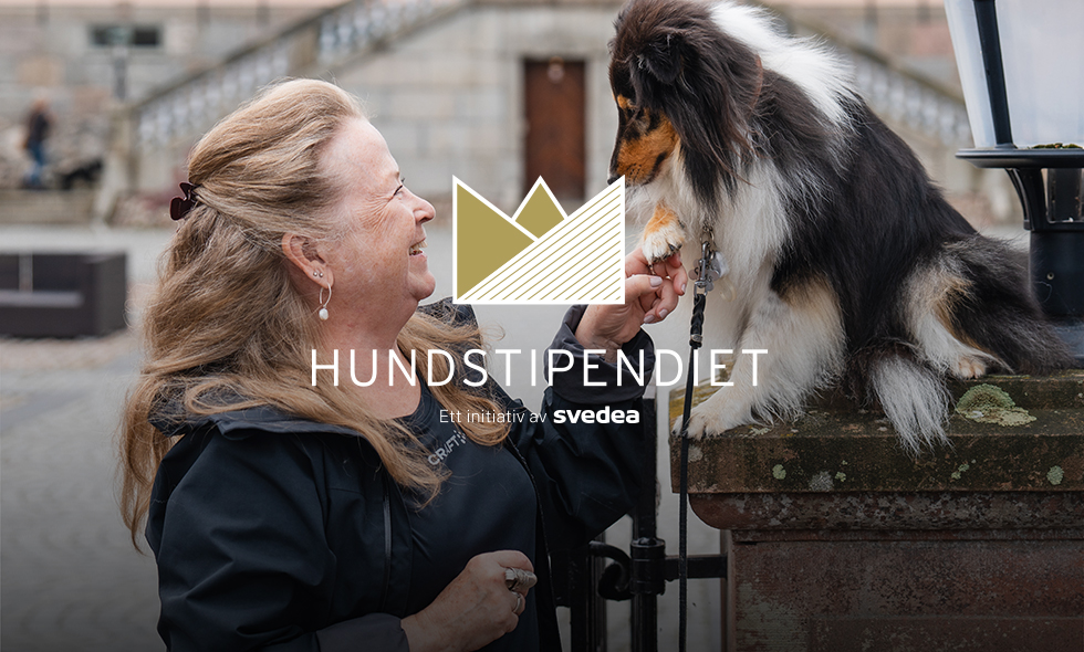 En kvinna står bredvid en hund som sitter på en pelare och håller hundens tass.