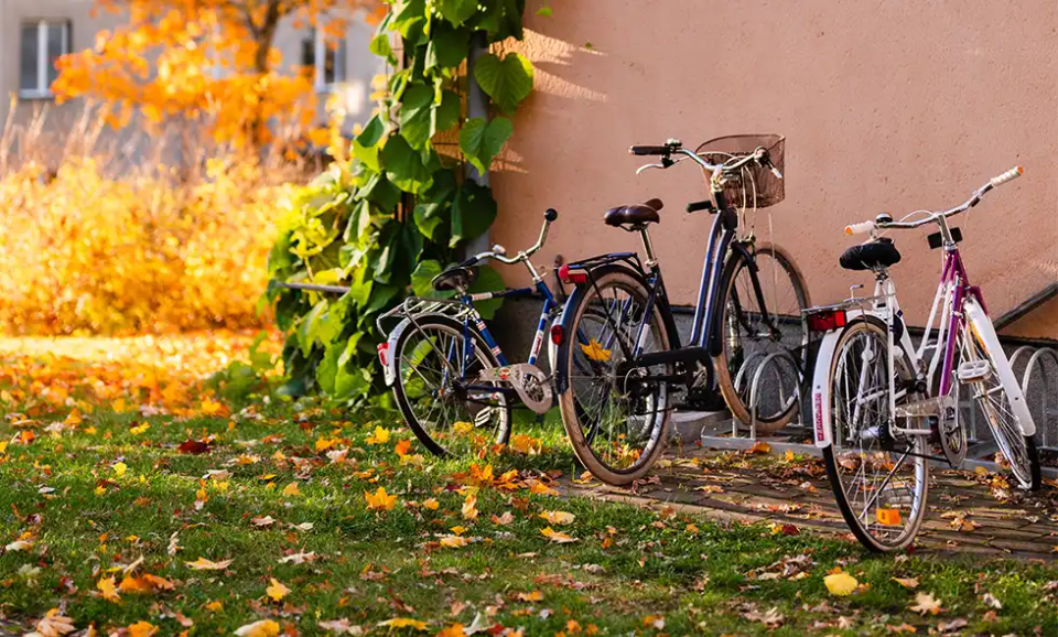 Tre cyklar parkerad vid en husvägg under en solig höstdag. Marken är täckt av gula löv och grönskan skiftar i höstfärger.
