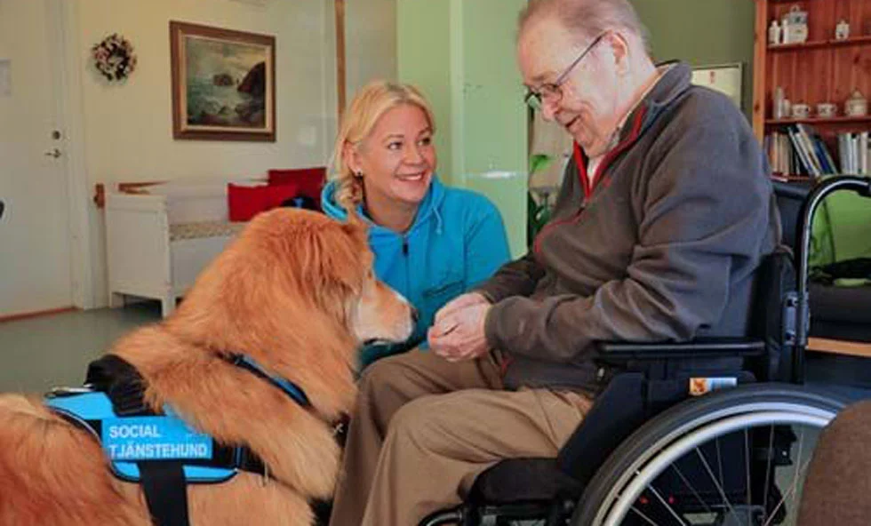 Golden retriever i tjänsteväst möter man i rullstol, kvinna ler i bakgrunden)