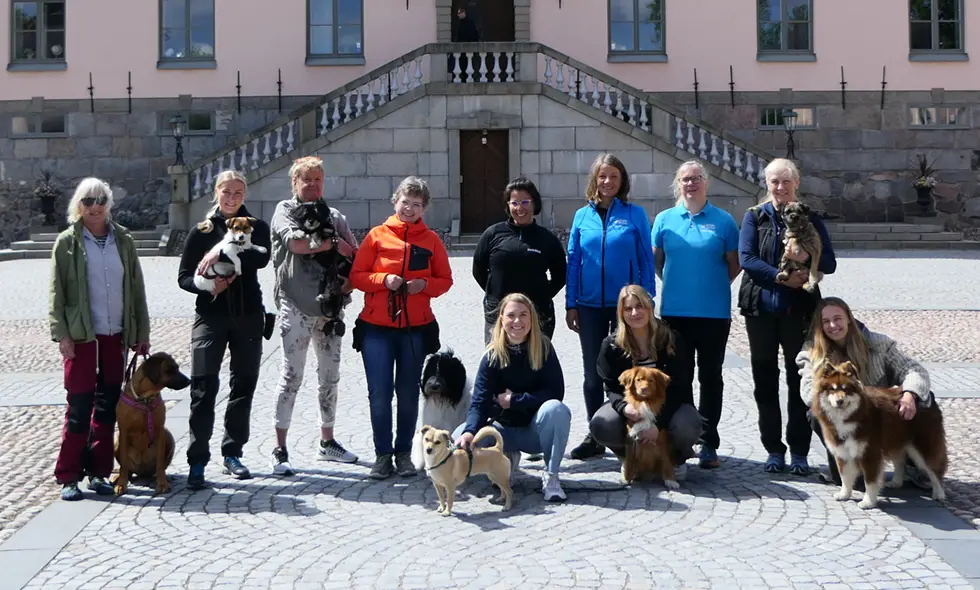 En grupp människor står med sina hundar framför ett slott med trappor)