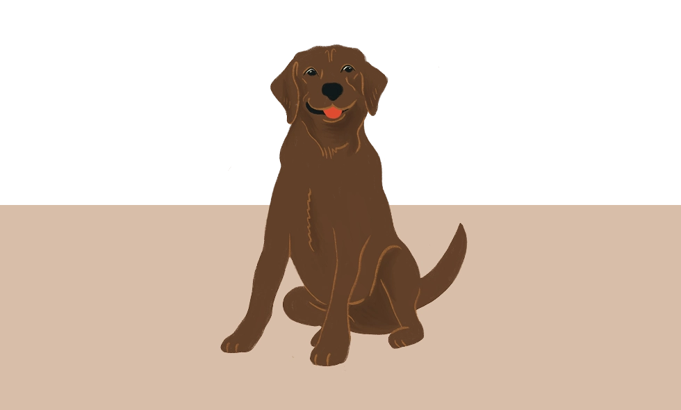 En tecknad brun labrador i sittande position med öppen mun och tungan ute.