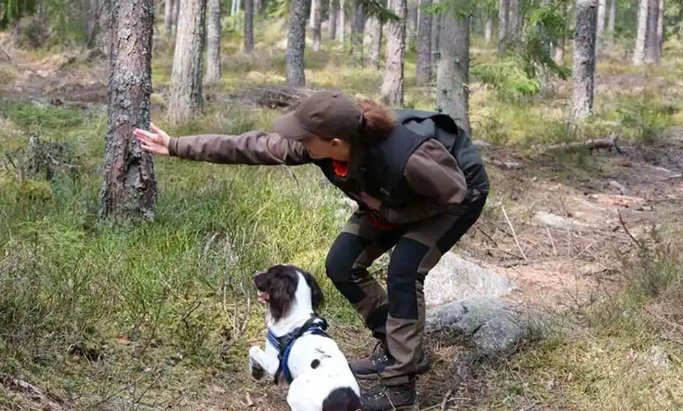 En jägare pekar ut riktningen för din jakthund