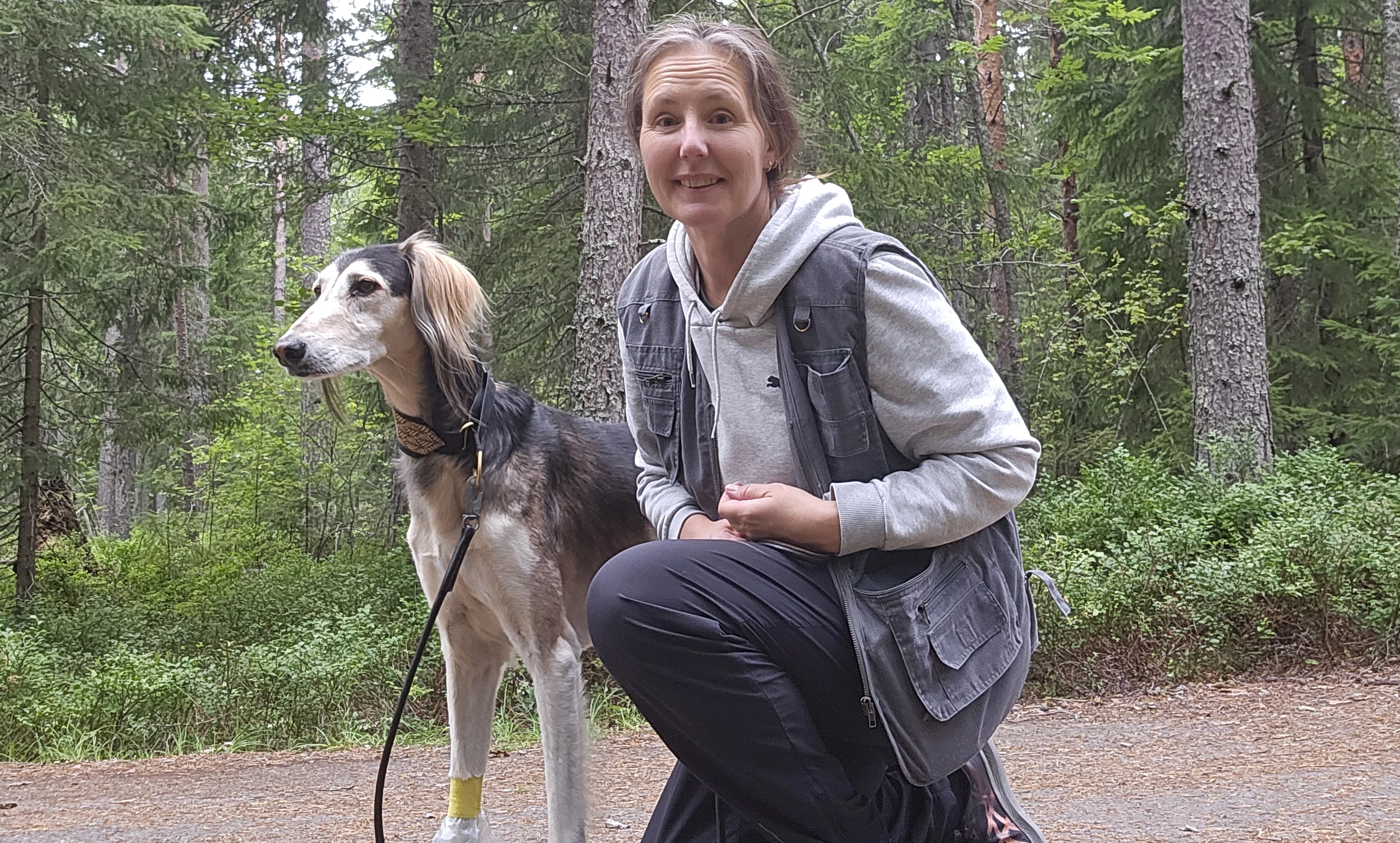 Hundägare sitter på skogsväg tillsammans med sin Saluki-hund