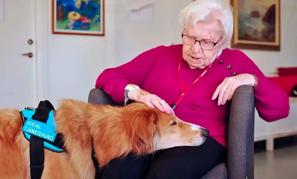 En gammal kvinna sitter i fåtölj och klappar en hund