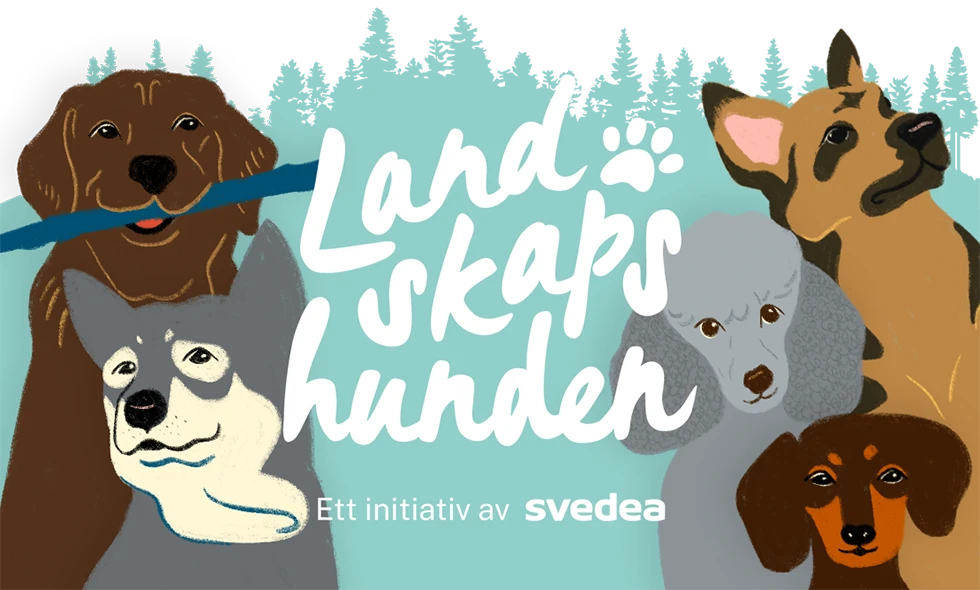 Illustration med sex olika hundraser mot blå bakgrund med texten 'Landskapshunden – ett initiativ av Svedea'.