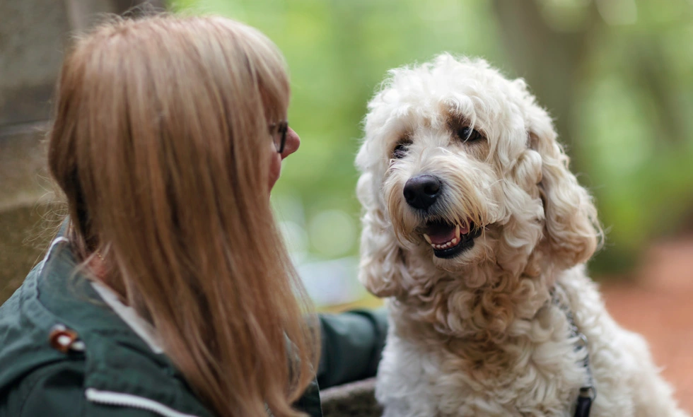 En kvinna med långt blont hår sitter vänd mot en ljus lockig hund i en skog