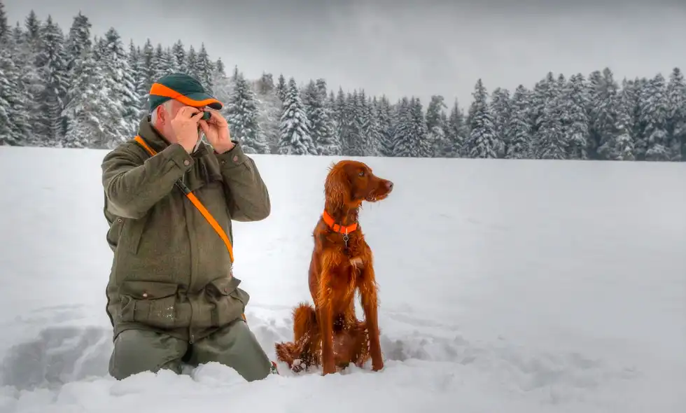 En jägare och en hund spanar på ett snöigt fält