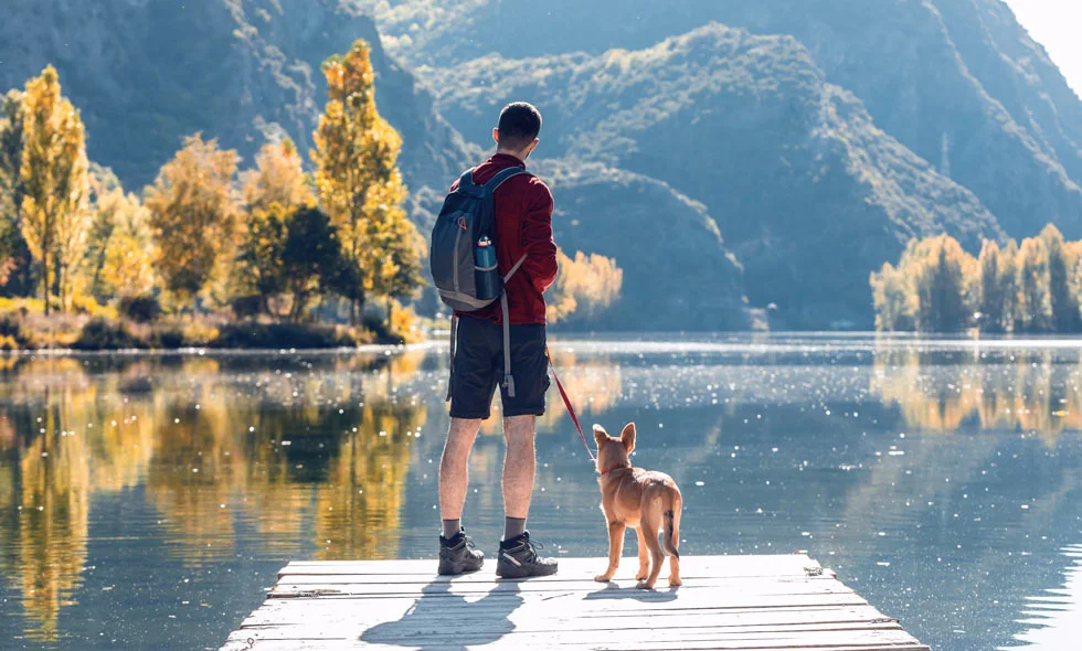 Man och hund blickar ut över en bergssjö från en brygga